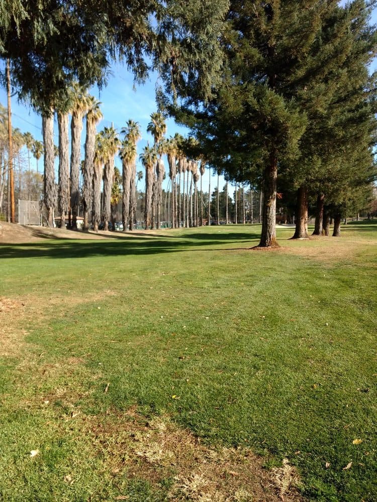 Palm and tree lined fairway at Sunken Gardens Golf Course in Sunnyvale.