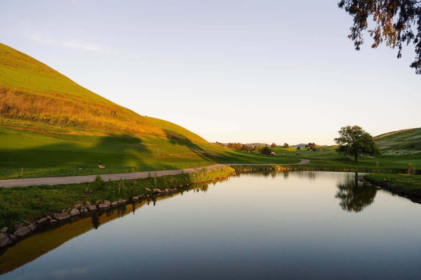 Bay View Golf Club, Milpitas CA - fairway