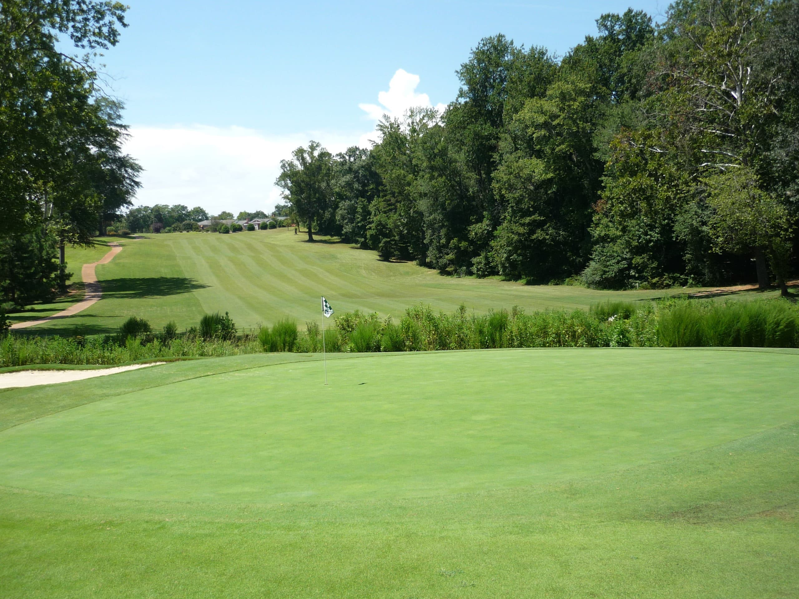 tigergolftraveler
