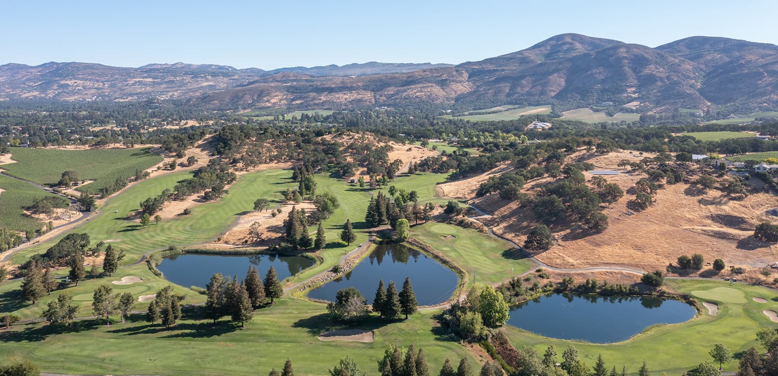napavalleycc