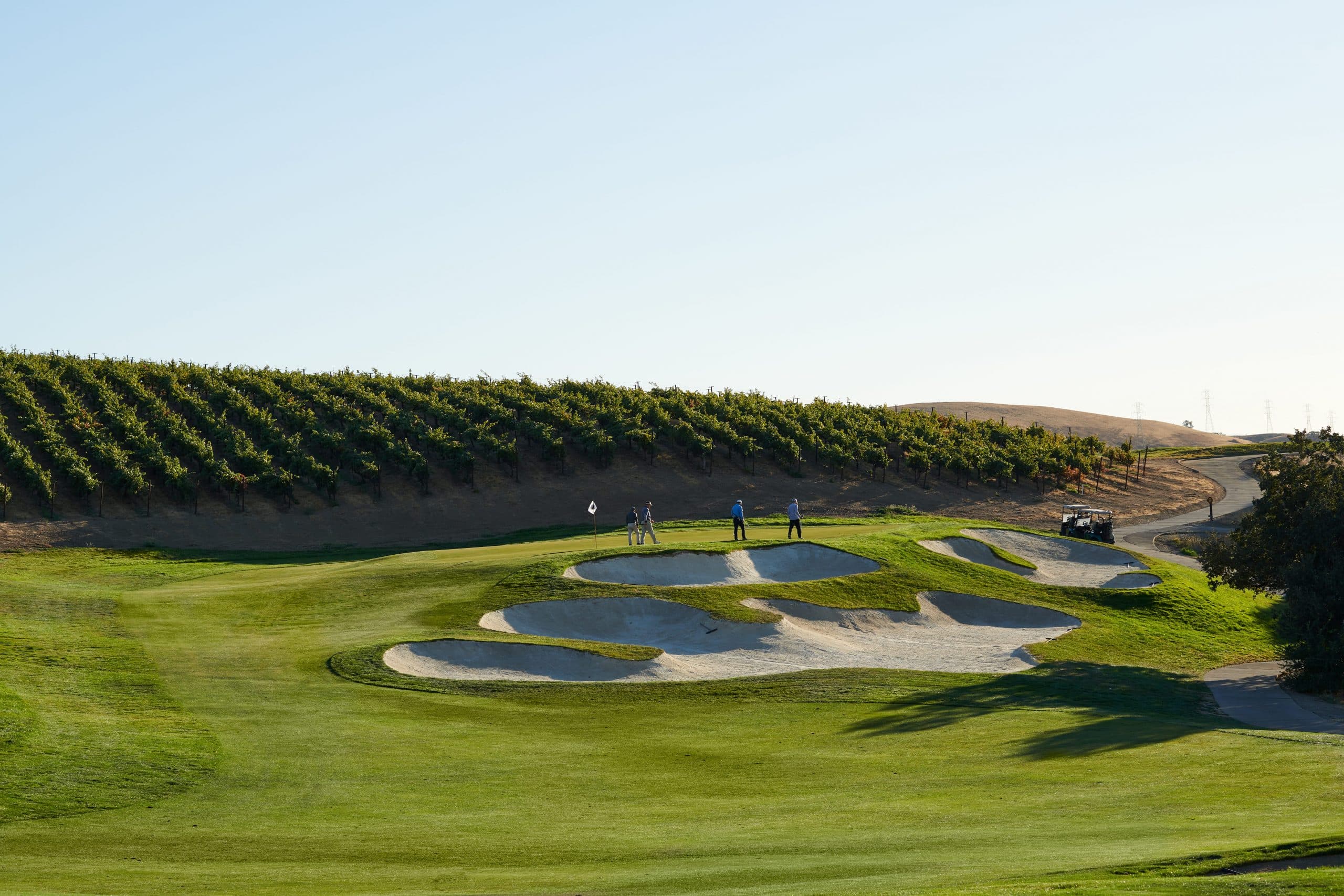 wentevineyards