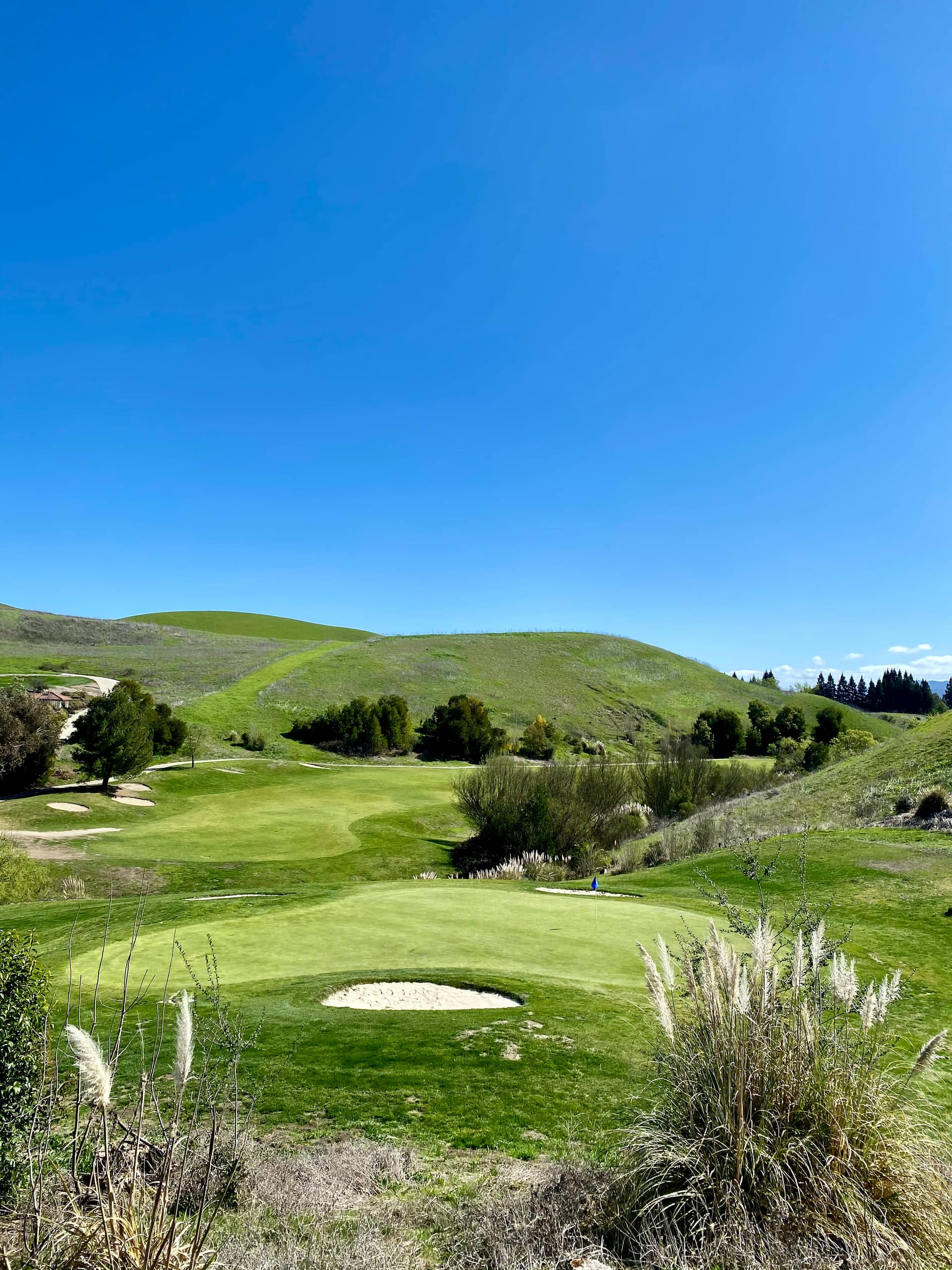 The 14th green at Canyon Lakes Golf Course, San Ramon, CA. Photo: official course site (canyonlakesgolfbrew.com)
