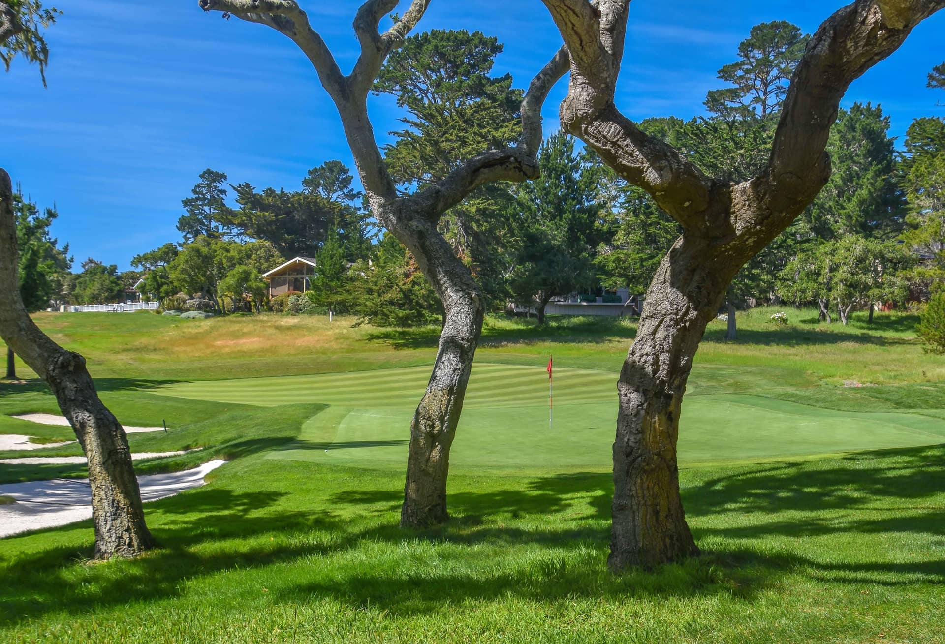 Coastal links scenery on the Shore Course at Monterey Peninsula Country Club, Pebble Beach, CA. Photograph by Patrick "PJ" Koenig (pjkoenig.com).