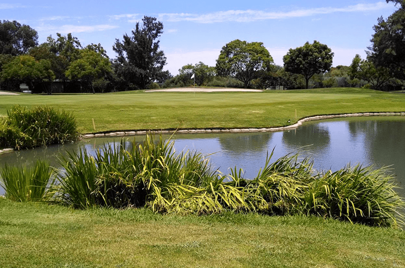 Golfers on the course at Sunnyvale Municipal Golf Course (official site photo)