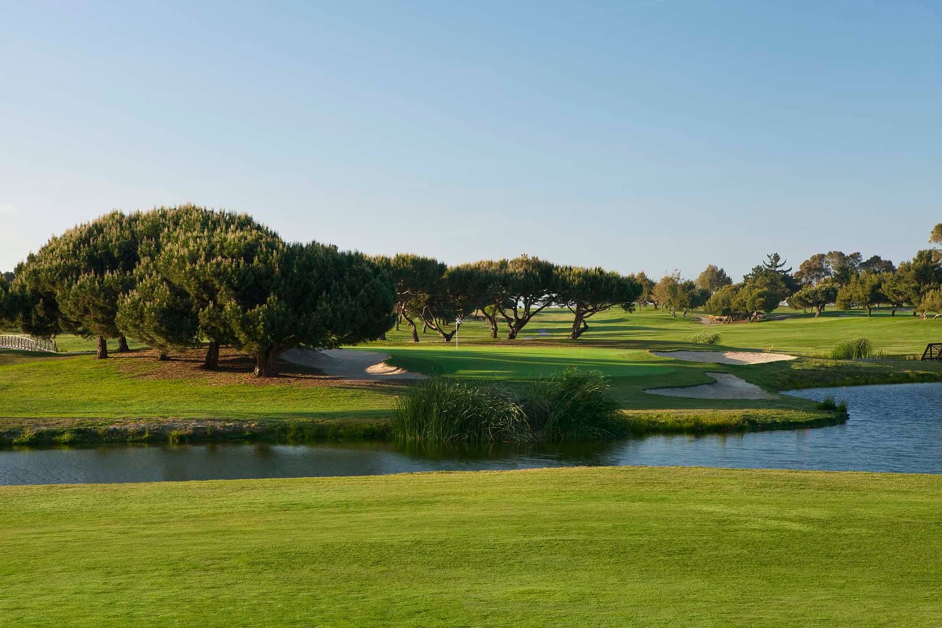Shoreline Golf Links, Mountain View, CA - course view