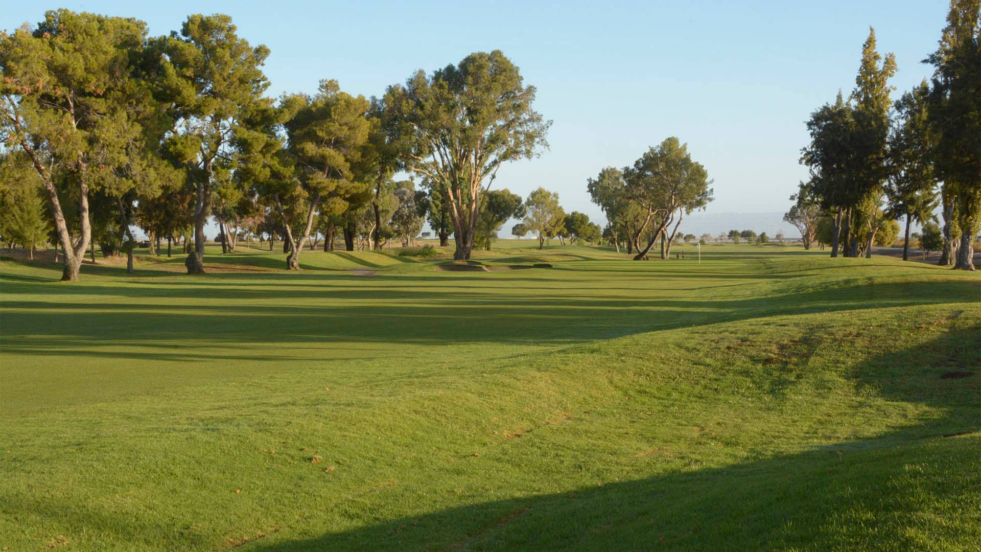 moffettgolf