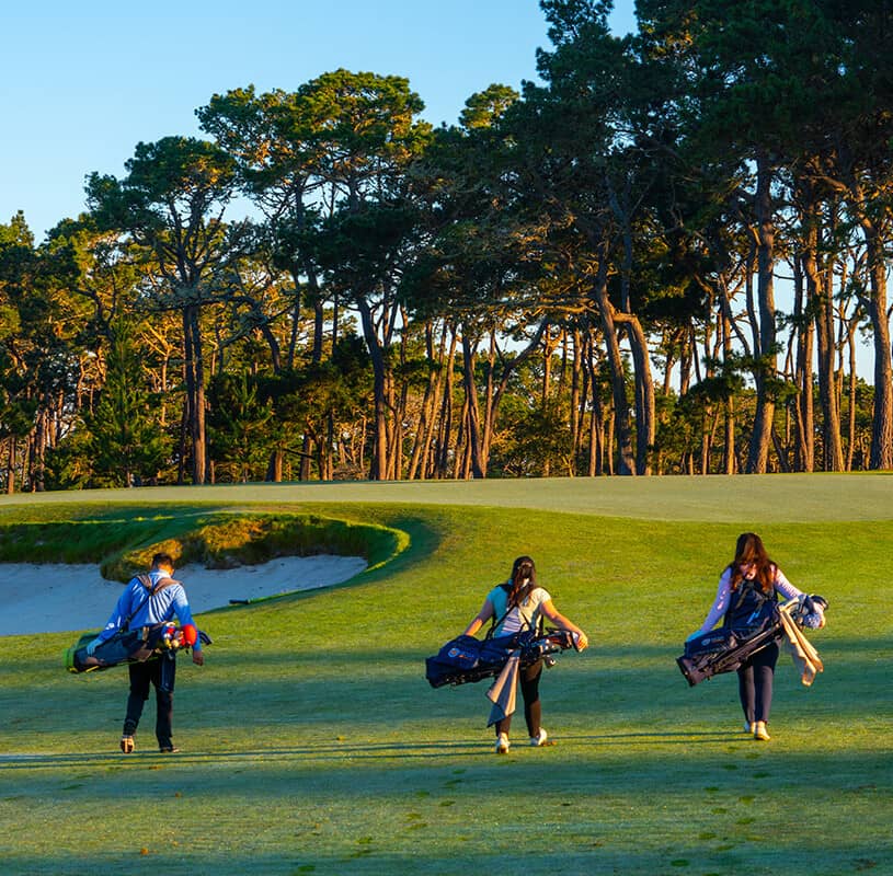 Scenic view of Poppy Hills Golf Course showing fairways framed by the Del Monte Forest. Photo courtesy of Poppy Hills Golf Course / Northern California Golf Association (poppyhillsgolf.ncga.org).