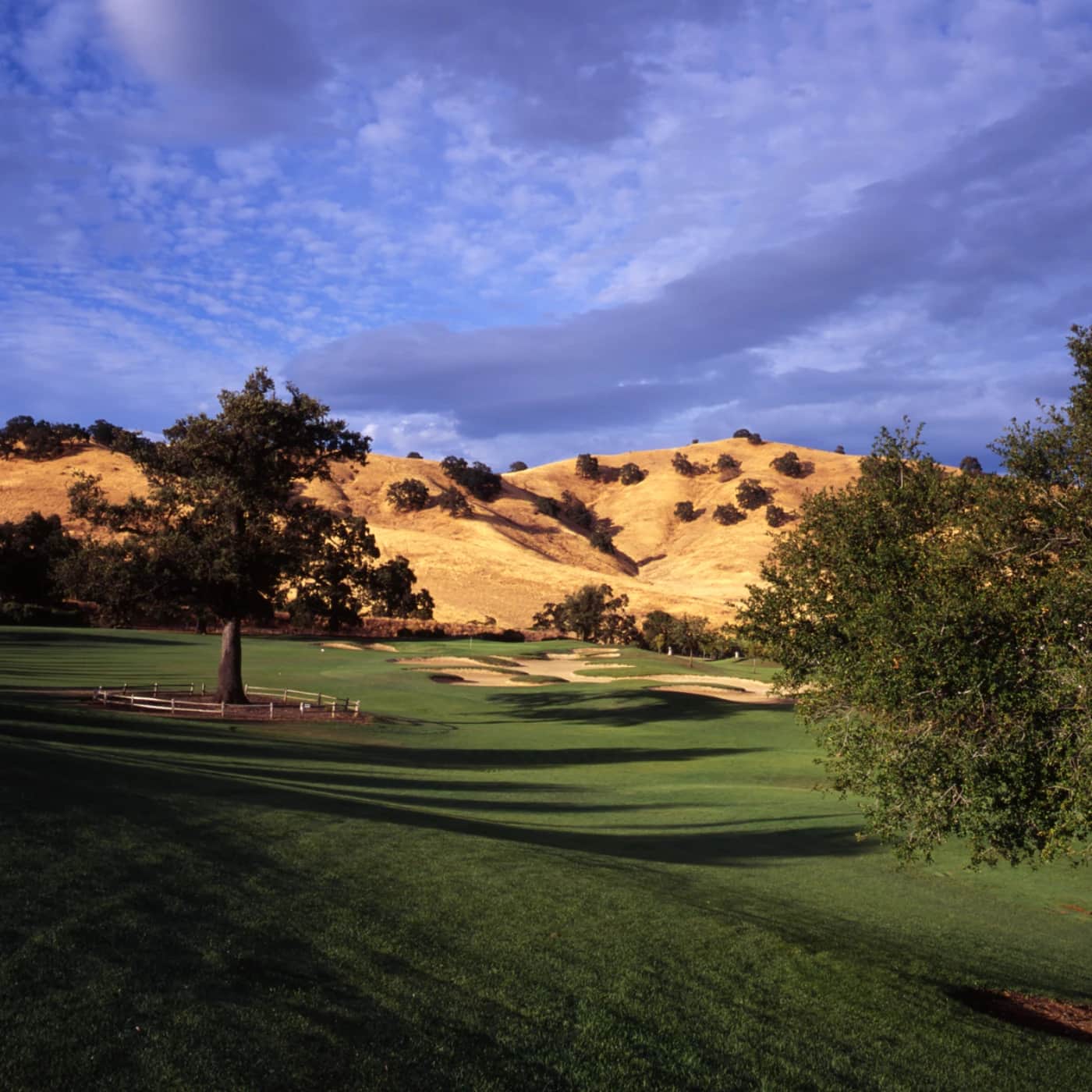 Scenic view of Paradise Valley Golf Course in Fairfield, California, showing oak-studded fairways. Photo credit: Paradise Valley Golf Course / City of Fairfield (official site, fairfieldgolf.com).