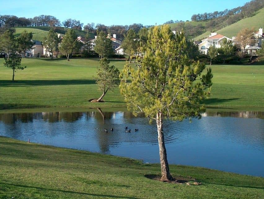 Scenic hillside landscape at Rancho Solano Golf Course, Fairfield, California. Photo credit: Rancho Solano Golf Course, via GolfPass.