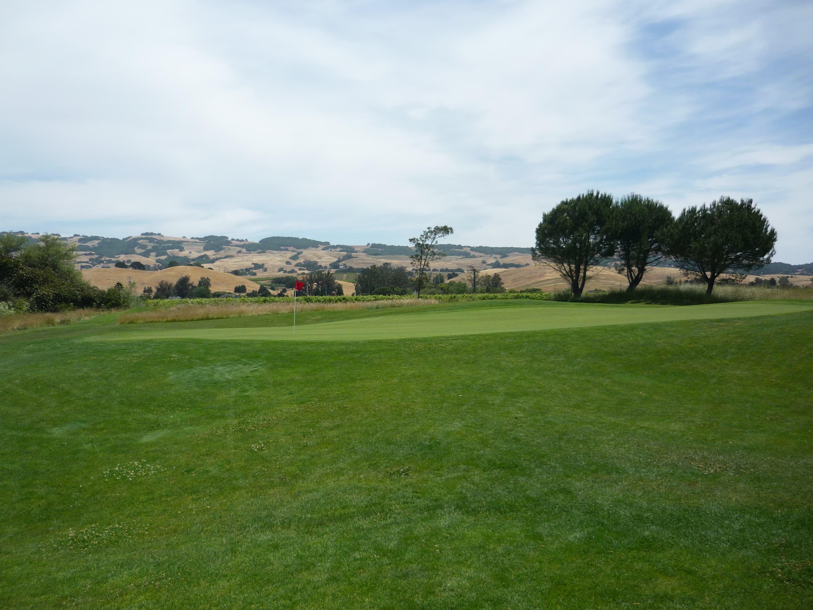 tigergolftraveler