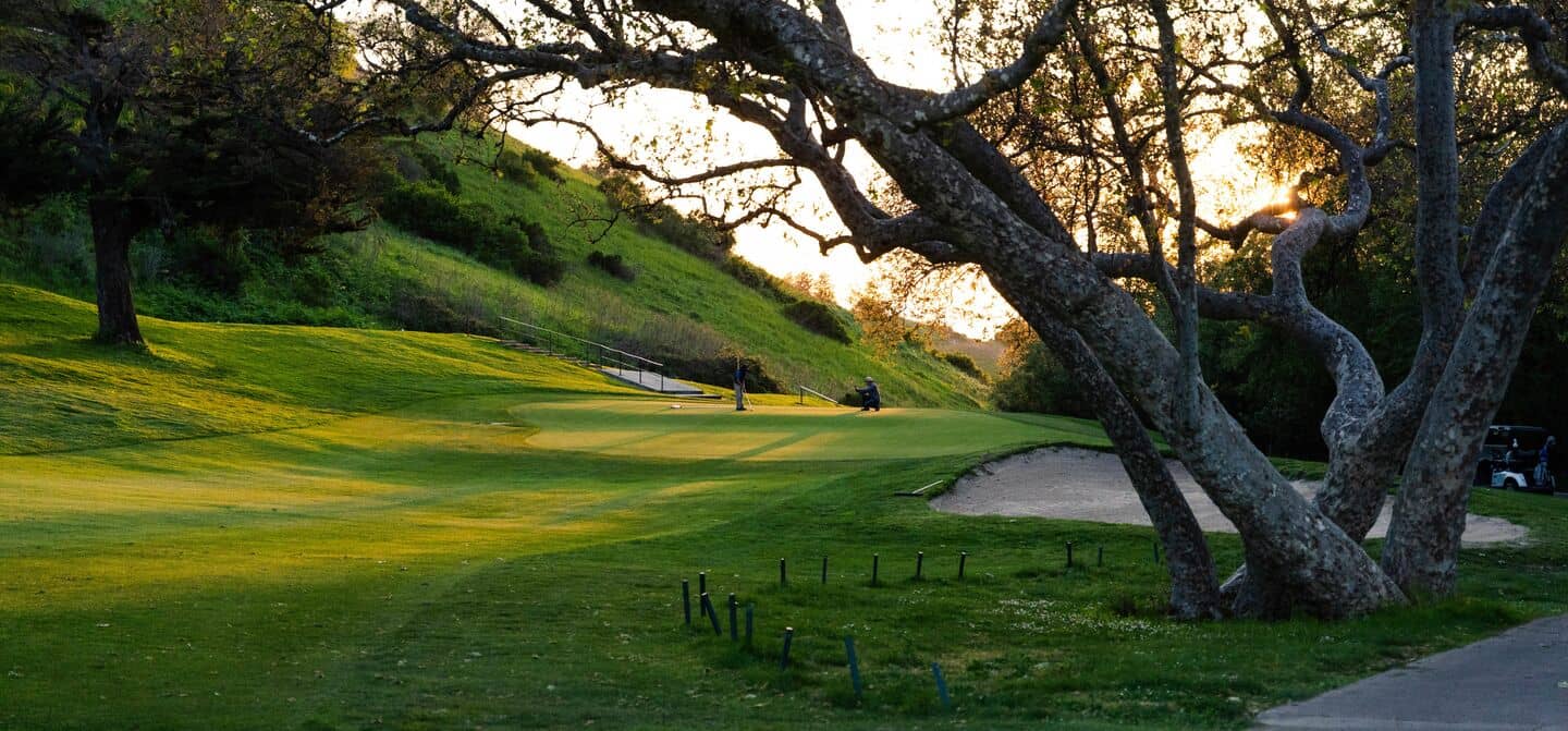 Bay View Golf Club, Milpitas CA - hillside course view