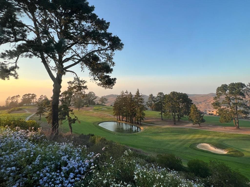 Bunkered golf green surrounded by trees at Berkeley Country Club.