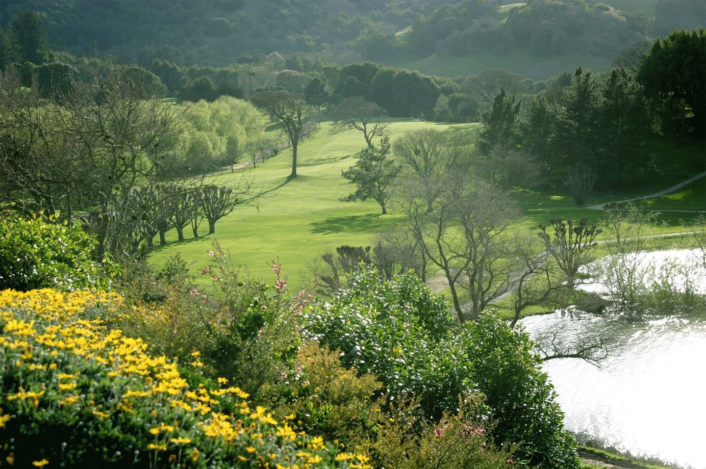 golf-pass