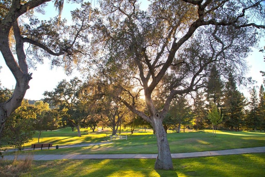 Tree-lined fairway at Bennett Valley Golf Course, Santa Rosa, CA. Photo credit: Courtesy of Bennett Valley Golf Course (via GolfPass).