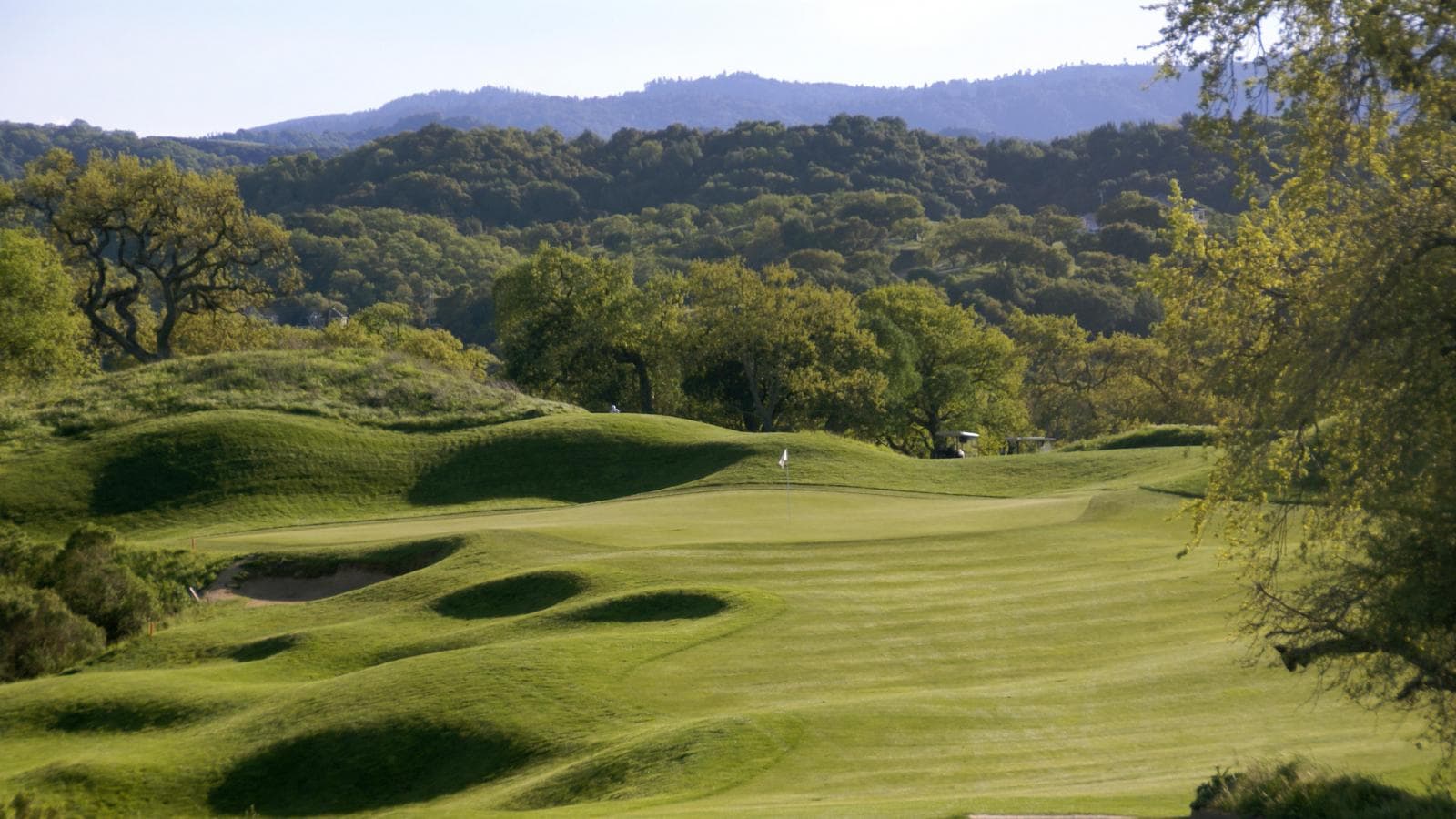 golfscape