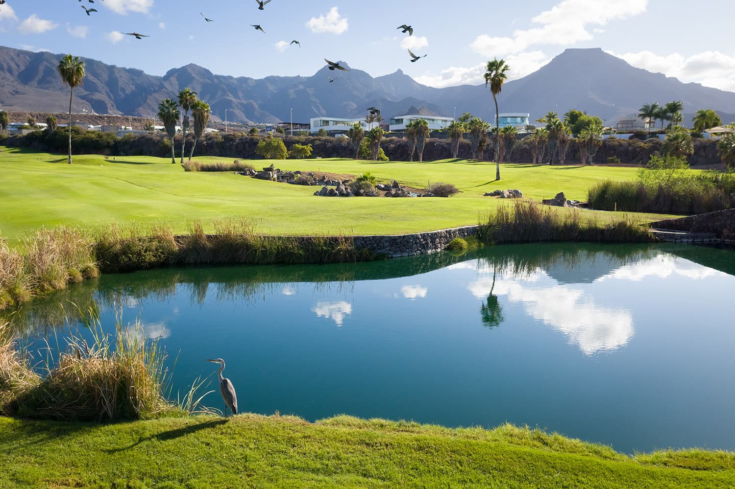 golfcostaadeje