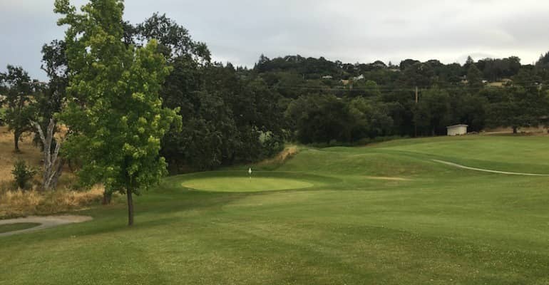 A green guarded by a mature oak at Healdsburg Golf Club at Tayman Park, with the course's characteristic rolling, tree-lined terrain. Photo credit: Pacific Coast Golf Guide (golfguide.net).