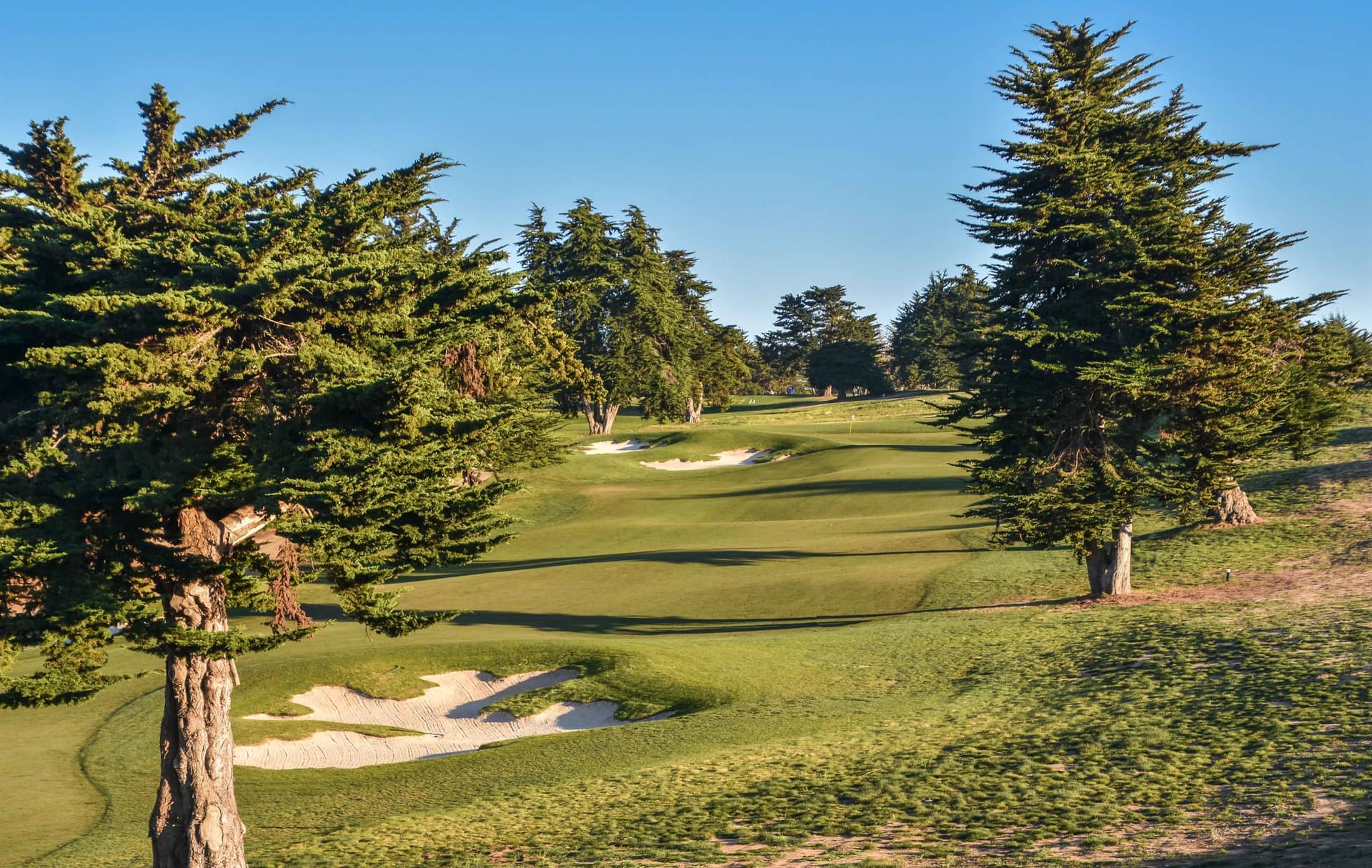 Bayonet Golf Course at Bayonet & Black Horse, Seaside, CA, showing Gene Bates' white-sand bunkering. Photo by Patrick J. Koenig / PJKoenig Golf Photography (pjkoenig.com), used with credit.