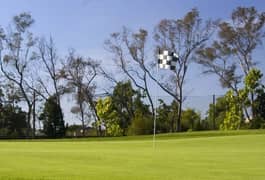 A putting green framed by mature trees under a blue sky at Rancho del Pueblo Golf Course in San Jose, California. Photo courtesy of Rancho del Pueblo Golf Course (City of San Jose / CourseCo Golf Management), ranchodelpueblo.com.