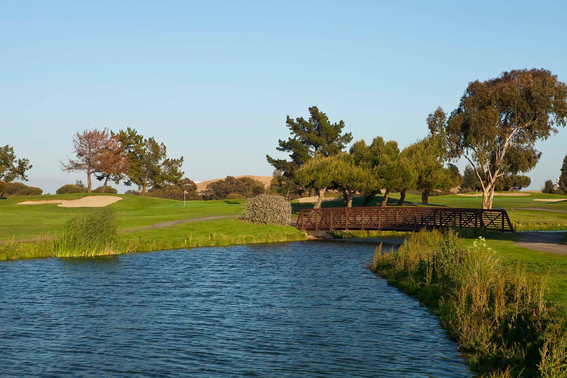 Shoreline Golf Links, Mountain View, CA - fairway view