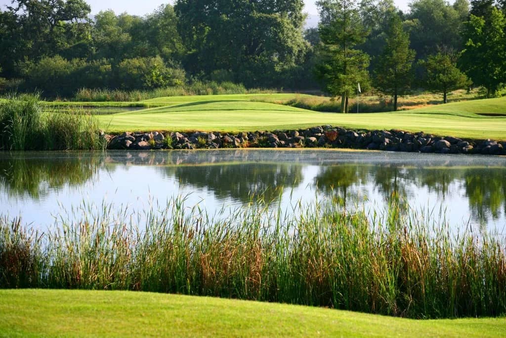 Fairway framed by mature oaks and water at Windsor Golf Club, Sonoma County, California. Photo courtesy of Windsor Golf Club (official website, windsorgolf.com).