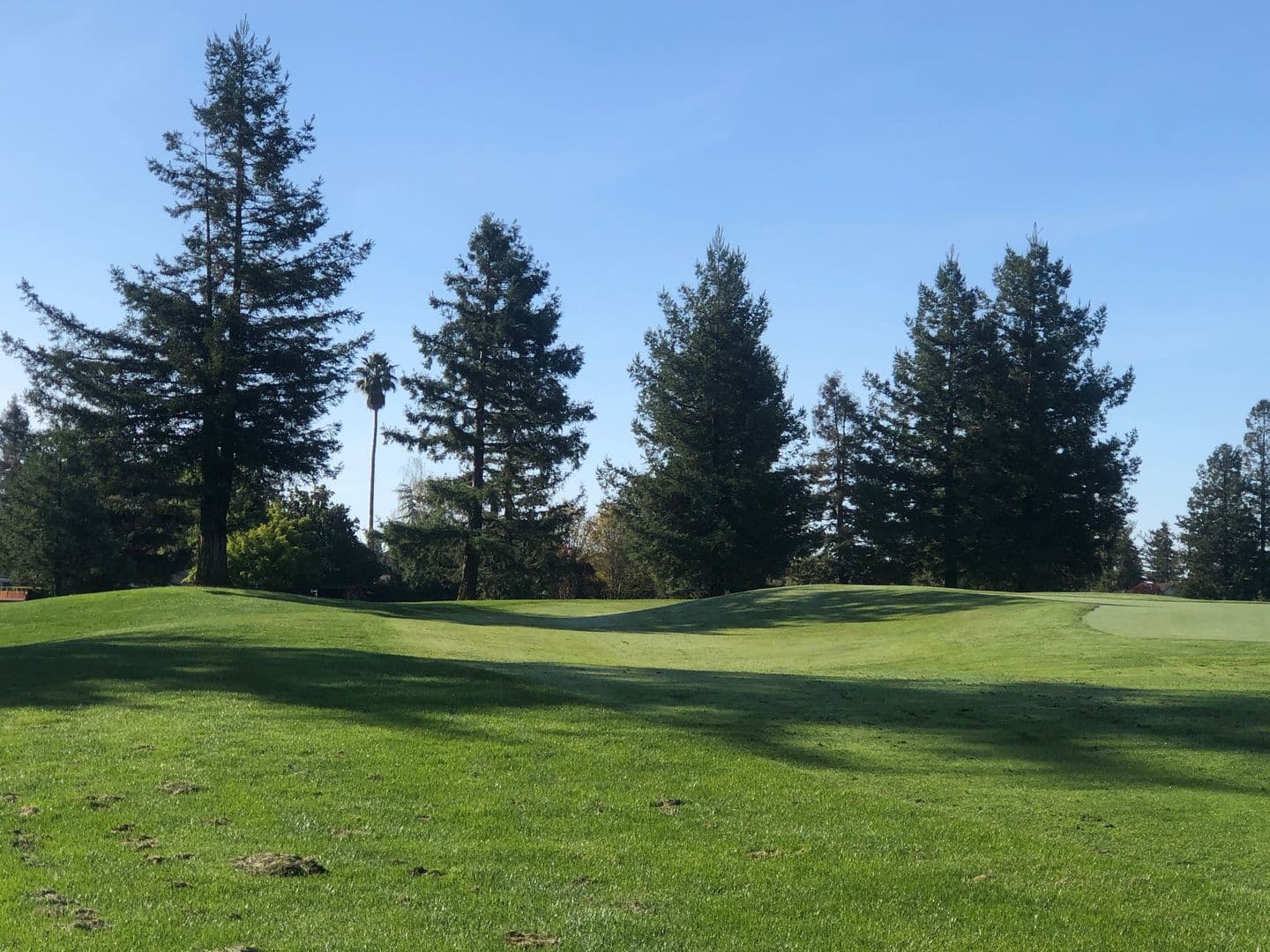 golf-pass
