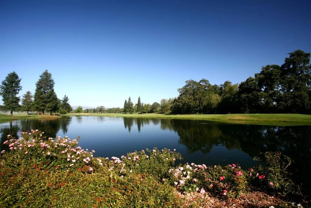 Manicured green and bunkering at Windsor Golf Club, Windsor, California. Photo courtesy of Windsor Golf Club (official website, windsorgolf.com).