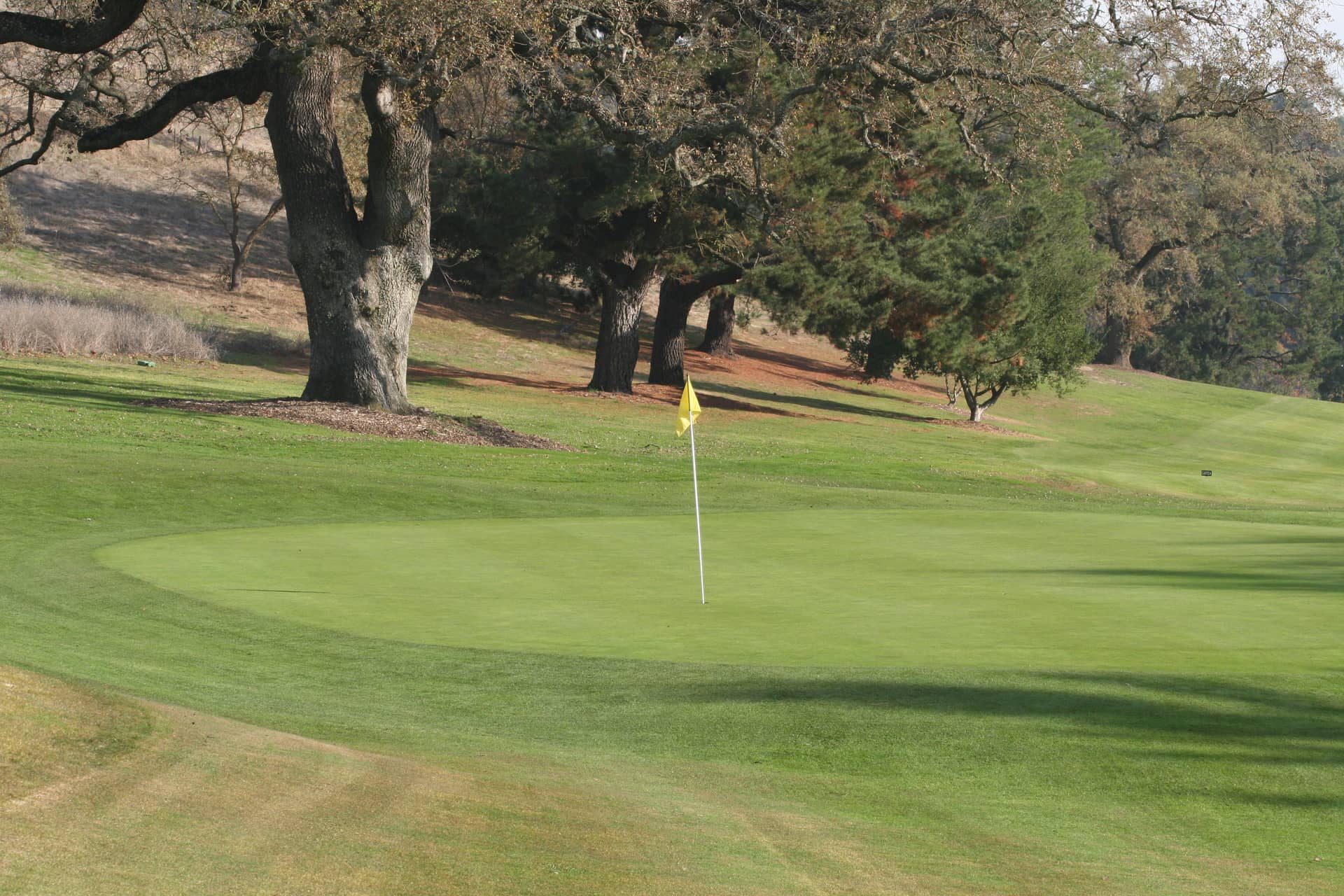 One of the small, undulating greens at Gilroy Golf Course, Gilroy, CA. Photo credit: Gilroy Golf Course (official website, gilroygc.com).